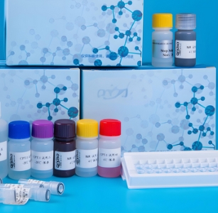 賽默飛測定試劑盒qubit rna br零售價